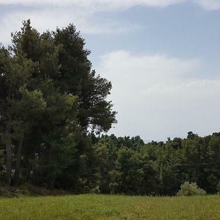 Villa Sugarella Siviri Zewnętrze zdjęcie
