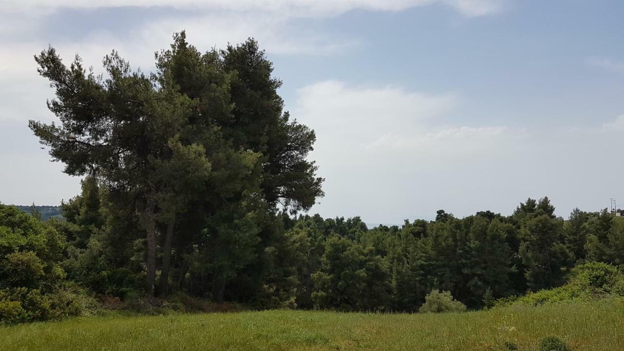 Villa Sugarella Siviri Zewnętrze zdjęcie